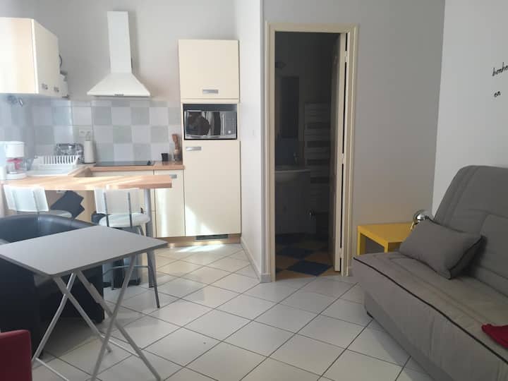 Nice Downtown Studio for 2