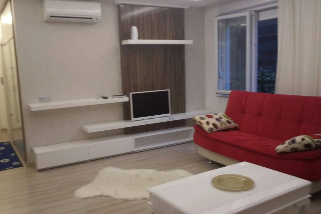 TV ve INTERNET
