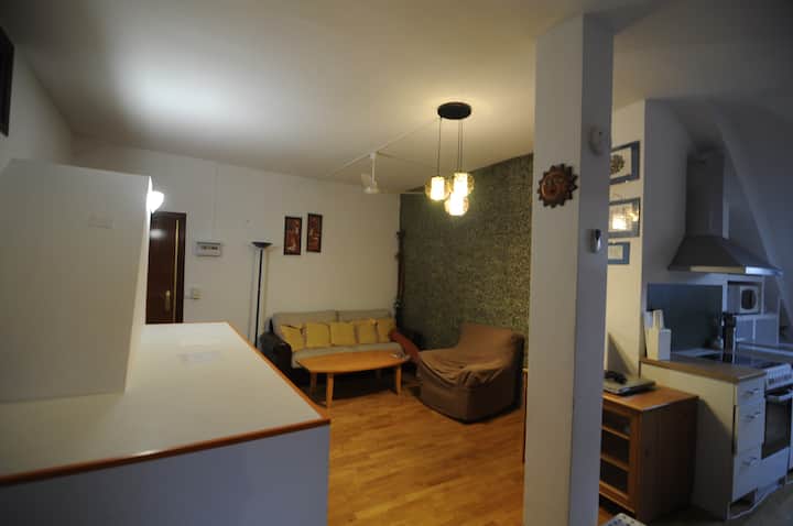 Large And Quiet Duplex Floor - Majadahonda