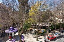 View to Praça das Flores (with café kiosk in front of the apartment)