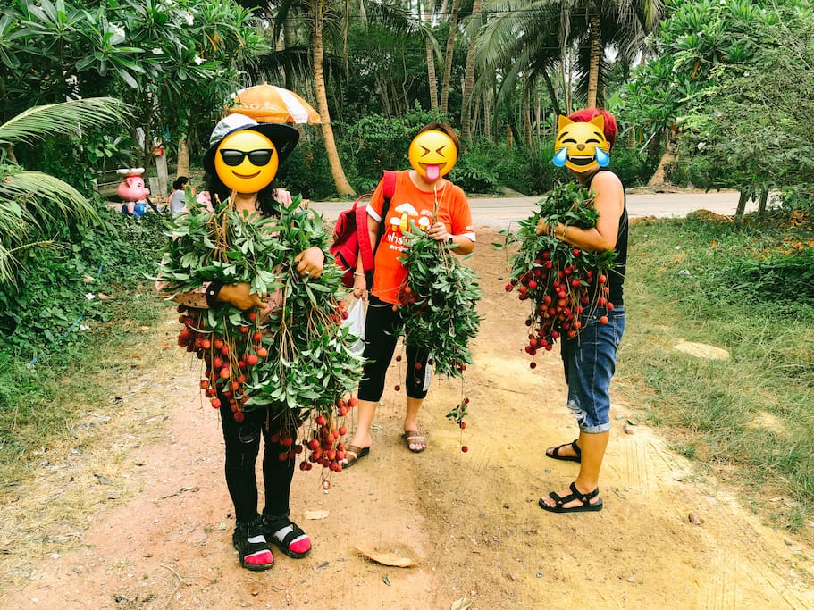 *Updated 01/04/18 lychee hunting party by our lovely guests >_<