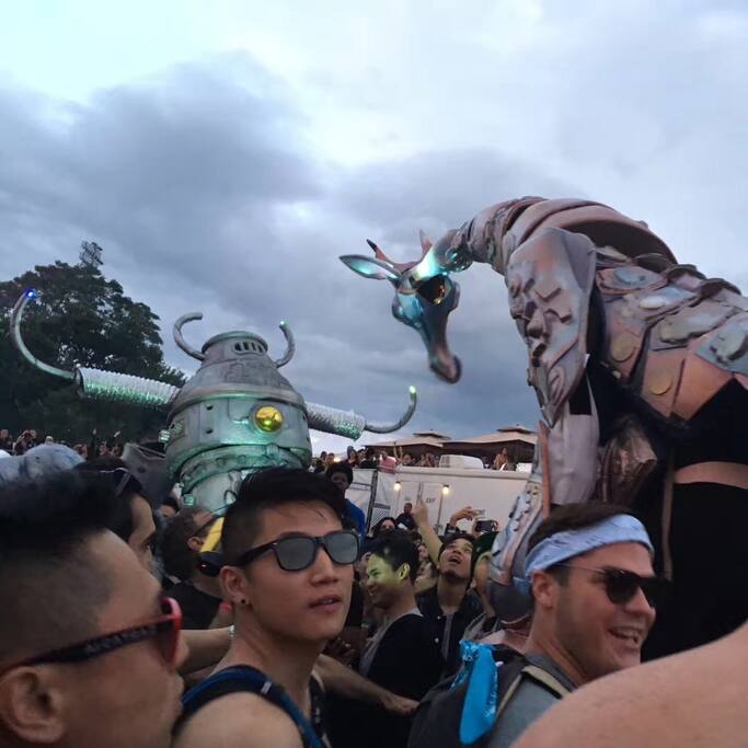 纽约派对 动物 的狂欢 Eleczoo电音节 纽约旅游攻略 尽在airbnb爱彼迎