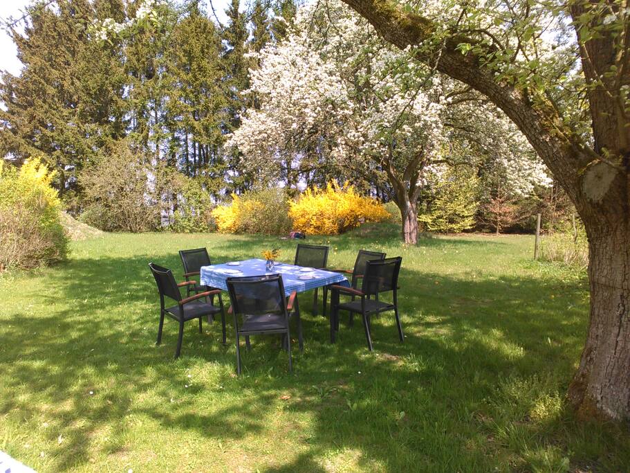 Garten