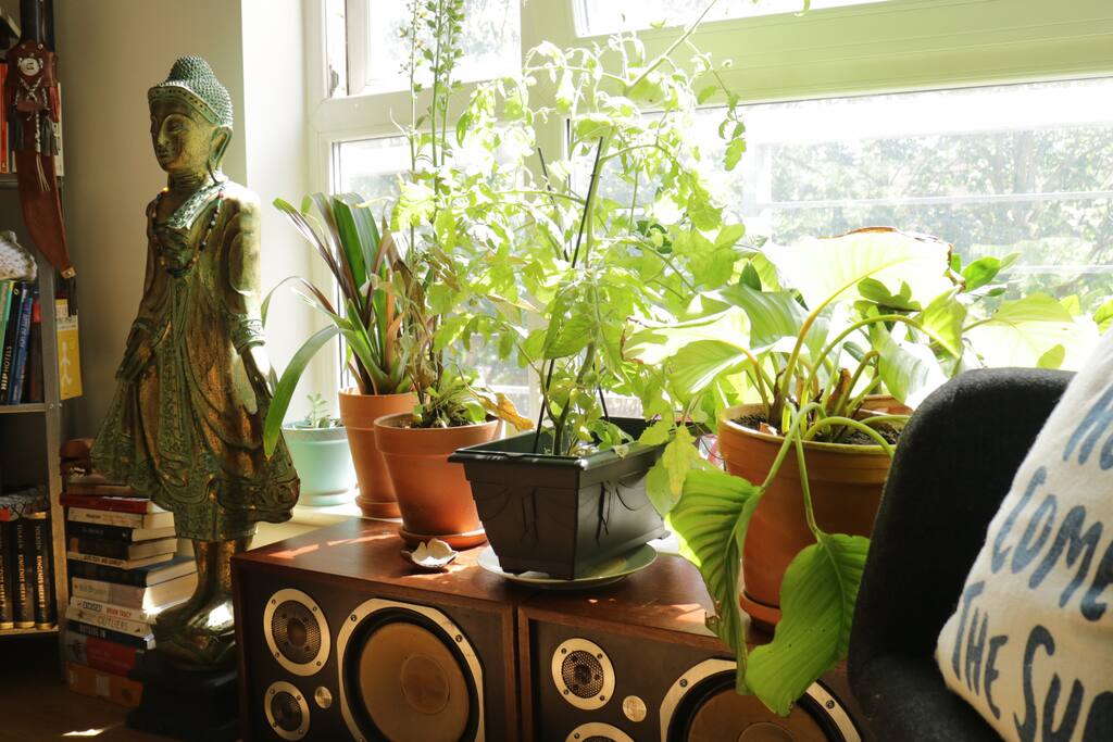 Please don't forget to water the plants ;-)