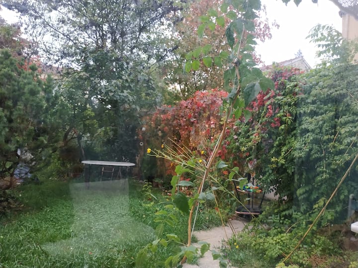 حديقة خاصة حيث يمكنك تناول الإفطار