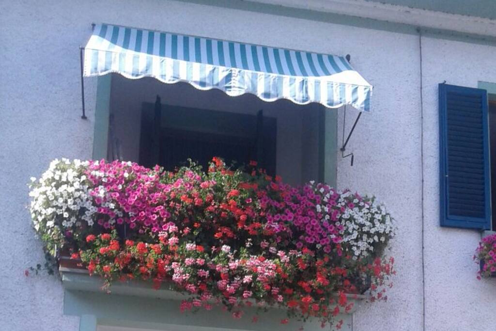 fronte casa