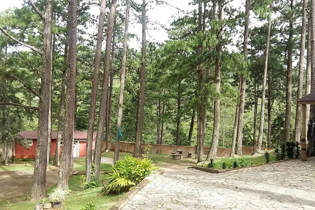 Parking space and other areas