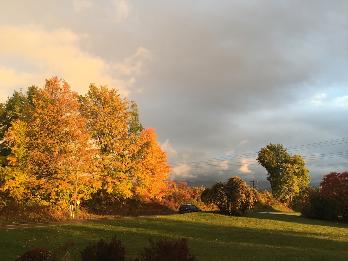 A vibrant display of autumn foliage includes trees showcasing shades of orange and yellow against a backdrop of cloudy sky. A green lawn extends in the foreground, with a paved road visible on one side, conveying a serene natural setting.