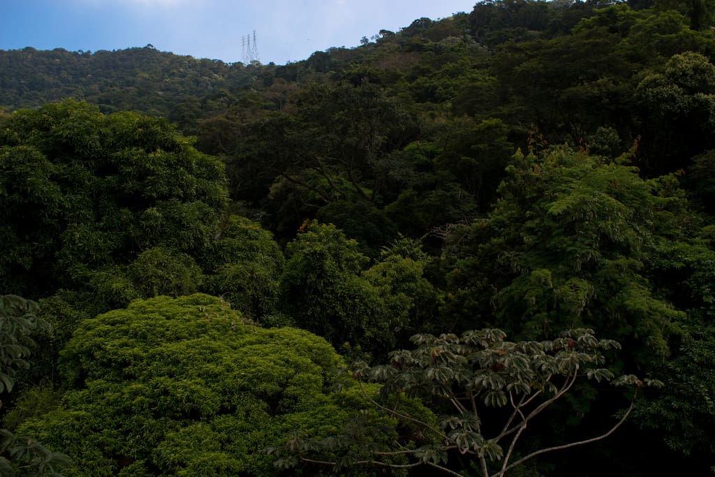 vista da montanha da janela do quarto duplo