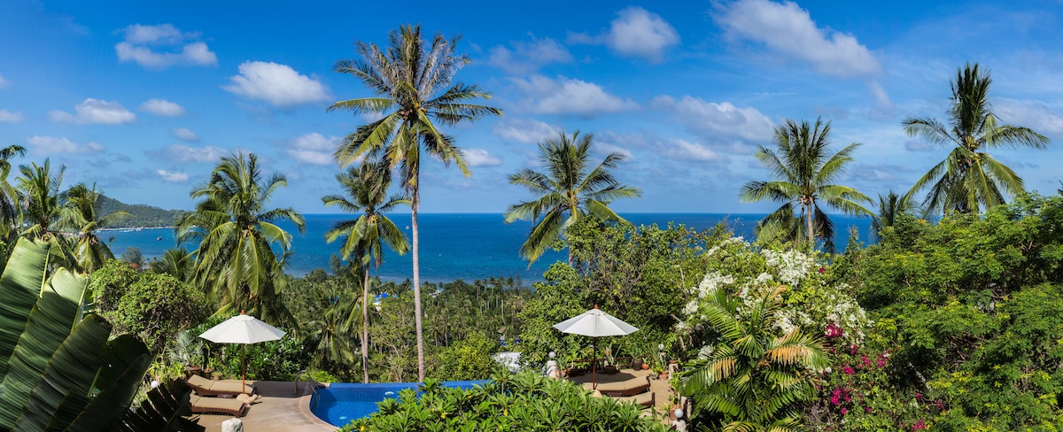 A panoramic view reveals an expansive sea and sky, framed by lush tropical foliage and palm trees. Two sun loungers with umbrellas are positioned by a private infinity-edge pool, inviting relaxation amidst the vibrant greenery.