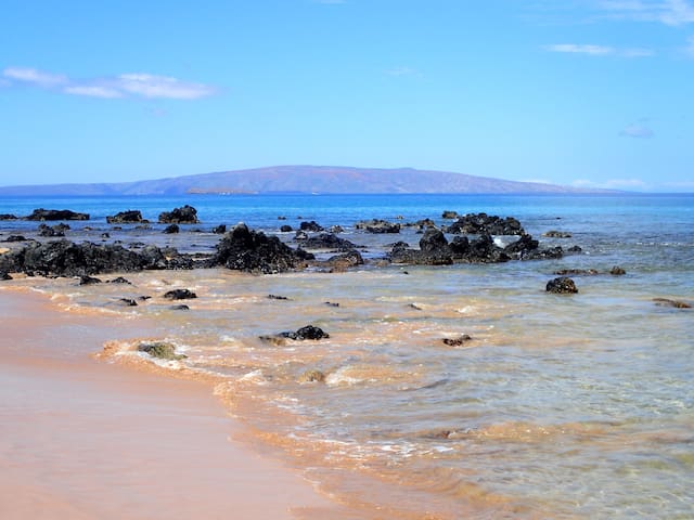 Hawaiian Paradise! Fantastic Beachfront 2bd 2bath gallery image 3