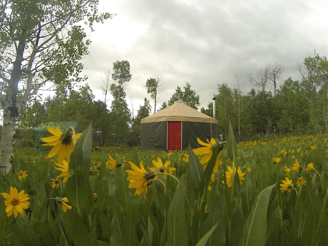 Mountain solitude, luxury of a yurt