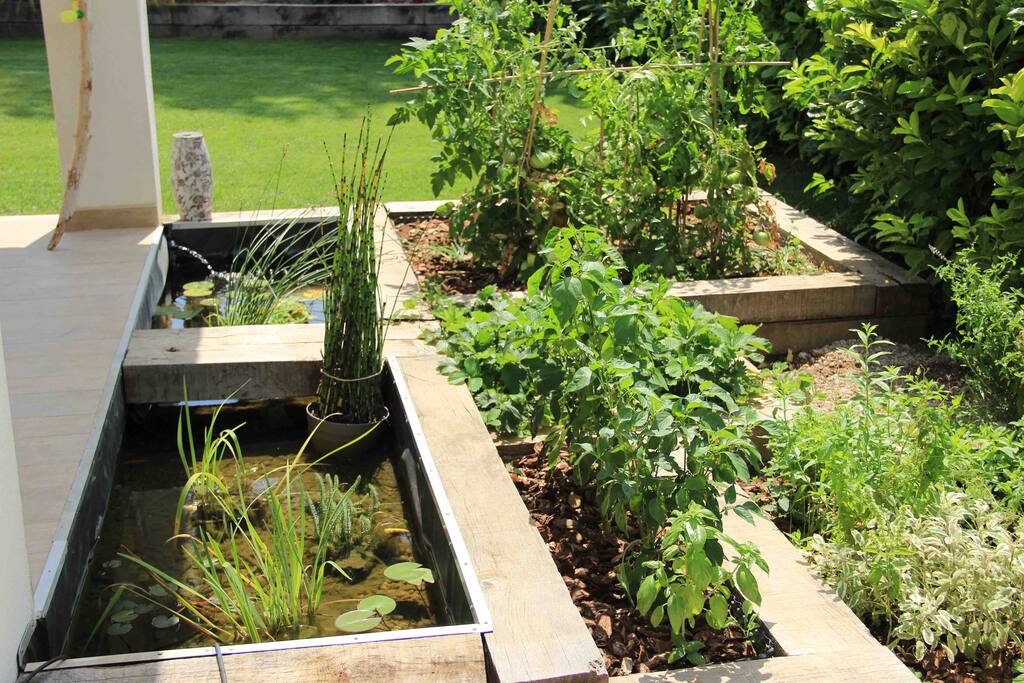Jardin aromatique et mare
