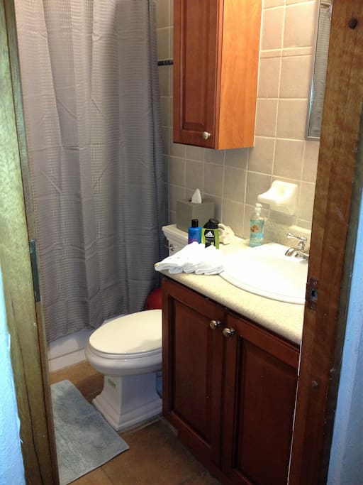 Guest bathroom