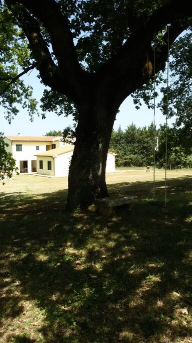 appartamento in campagna ideale per coppie...si trova alprimo piano di un podere nelle colline della Maremma Toscana