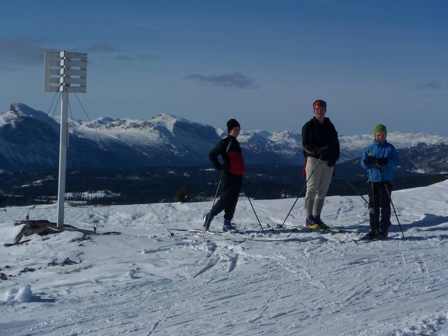 Golsfjellet Vest
