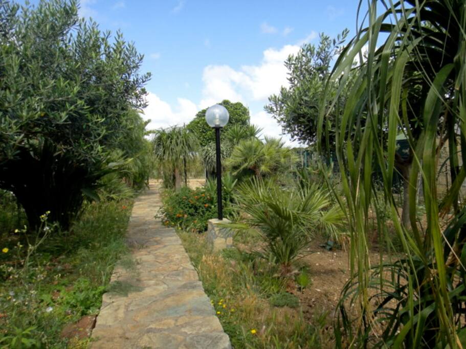 Viale ingresso