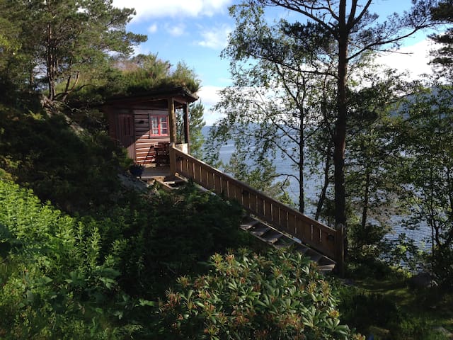 Log cabin + sauna and yoga room in a pyramid