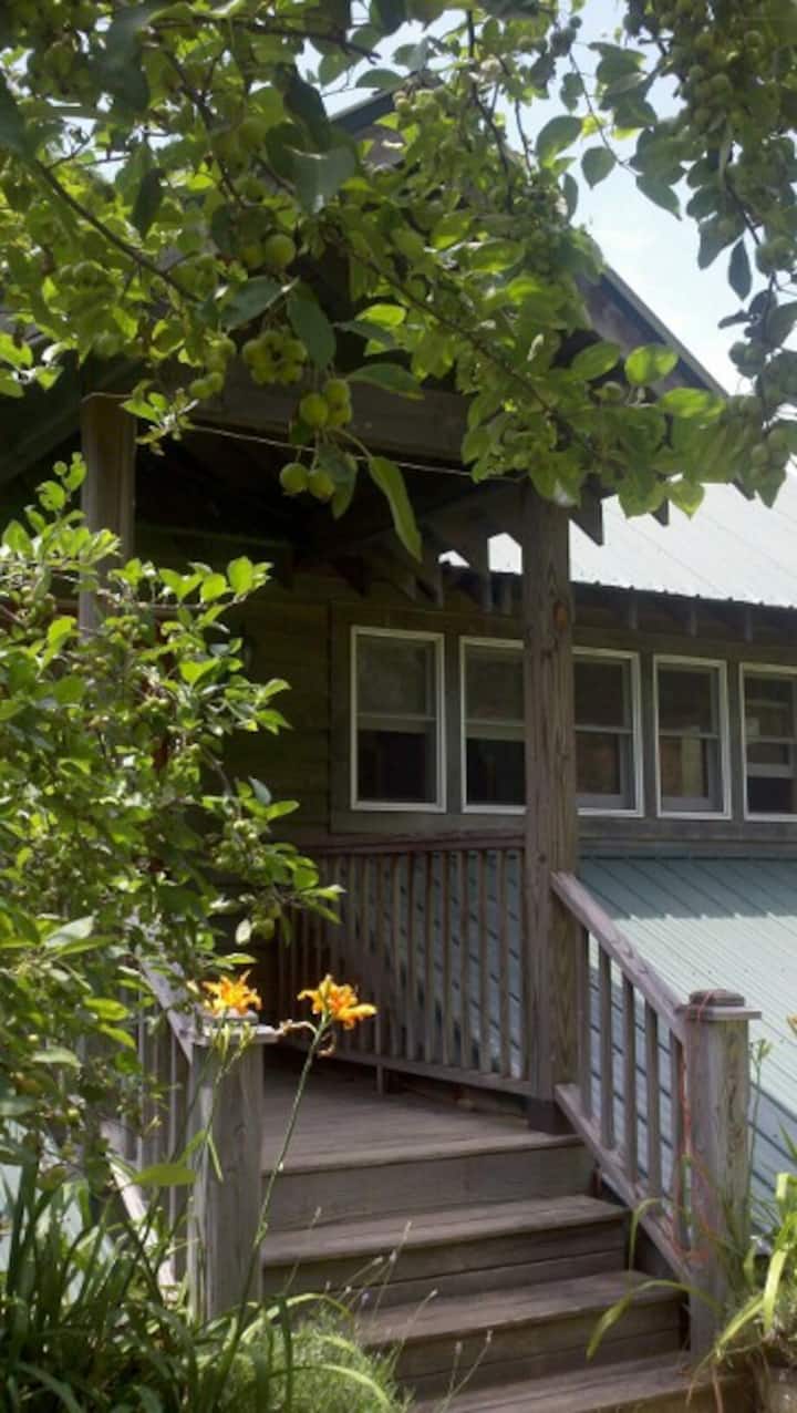 Listing Photo