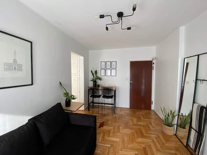 Luminous apartment in the middle of everything