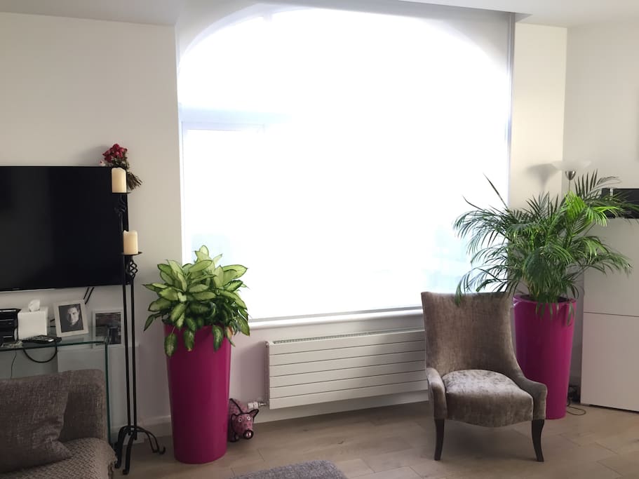 Lounge - lots of beautiful light make it a very sunny flat