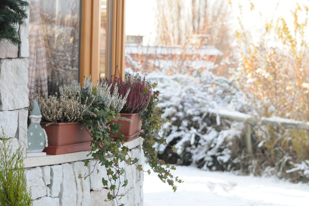 Prima neve alle Terrazze del Salè