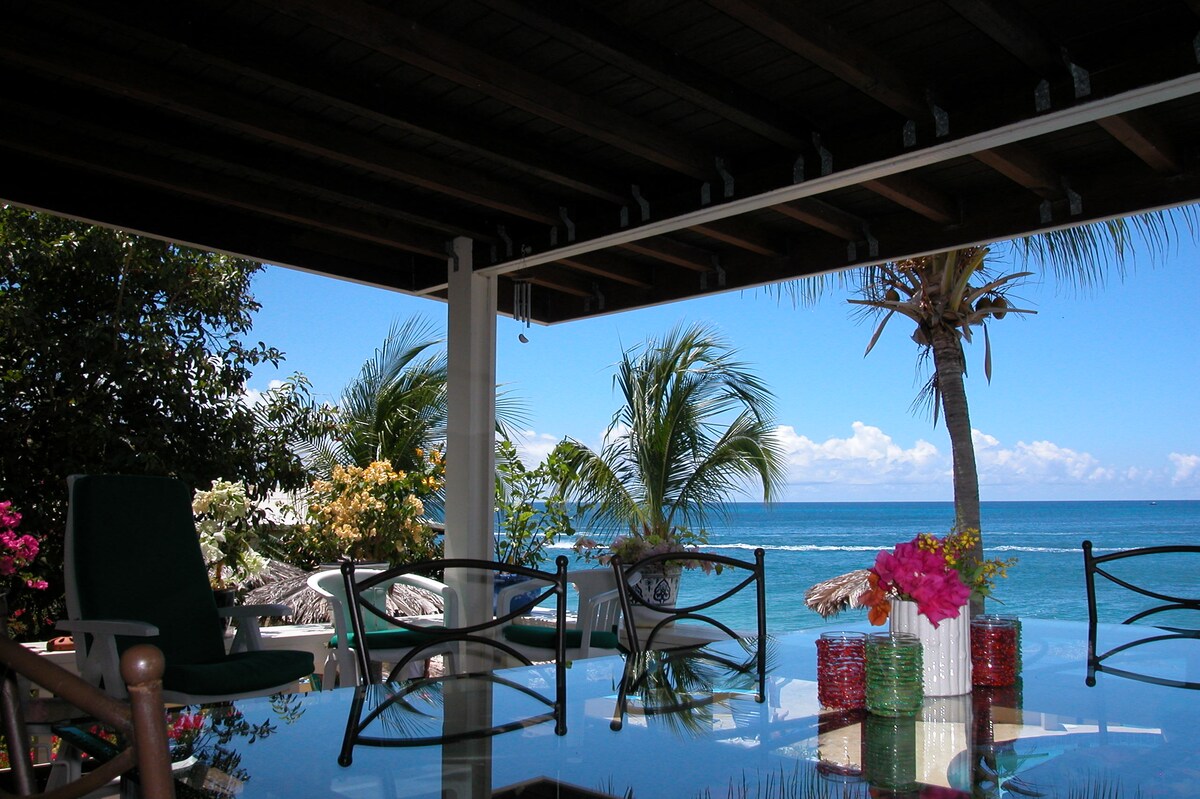 A shaded terrace area features a glass table surrounded by various chairs. Bright tropical plants and palm trees are visible, framing an unobstructed view of the turquoise sea and blue sky, creating a serene outdoor space for relaxation.