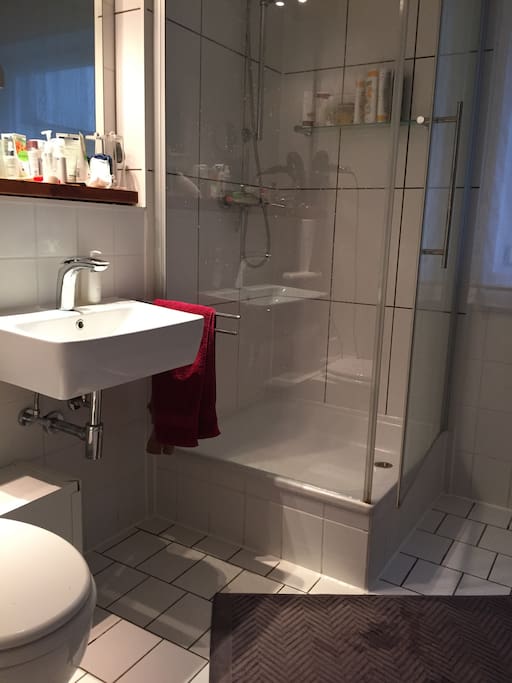 Bathroom next to the bedroom