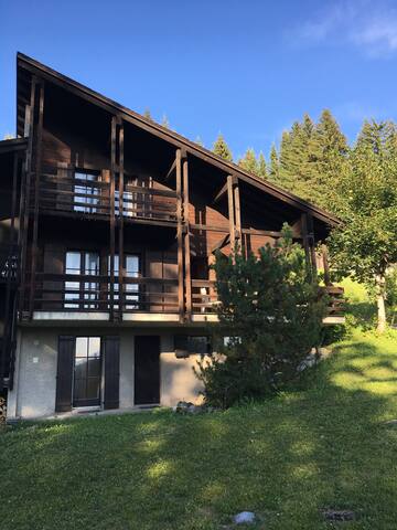 Ski/hiking chalet with mountain views gallery image 2