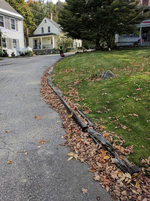 The approach to our door. I am almost at the front walk from parking area.
