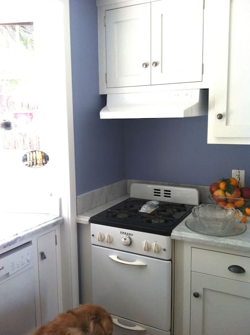 Small galley style kitchen