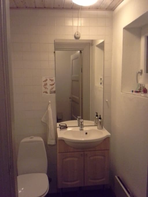 Det ekstra fælles toilet i stueplan