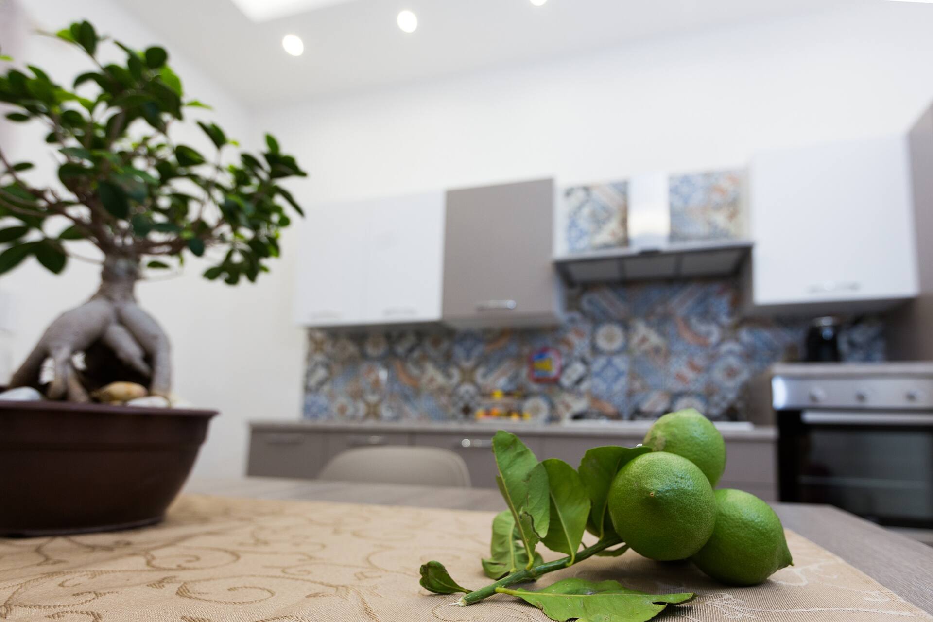 “Le Maioliche” Vacation Homes