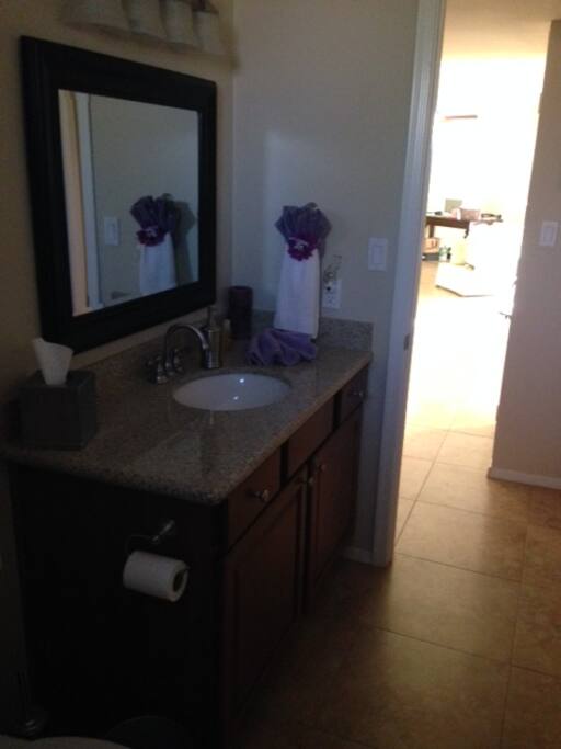 Guest Bath!