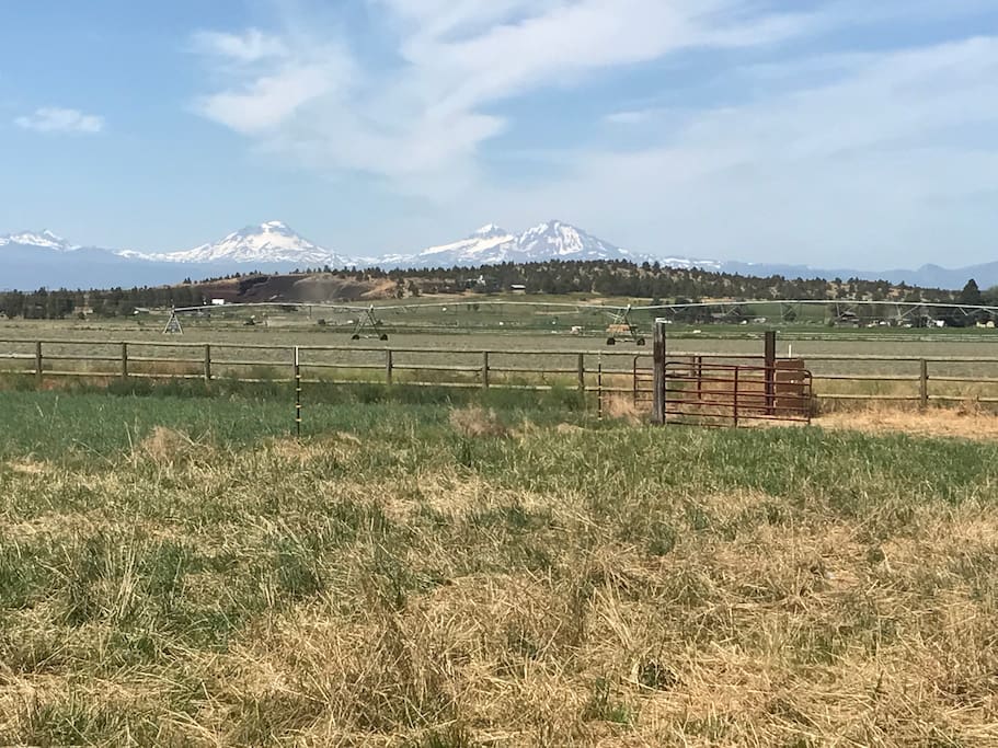 View from the patio
