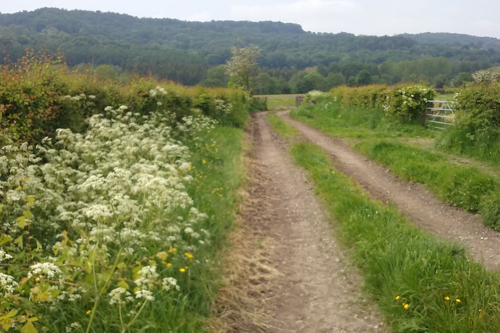 Close to the Derwent Valley Heritage Way
