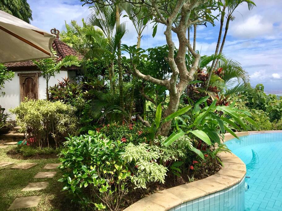 Private pool area