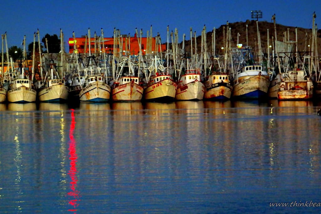 Local marina with shrimp boats!