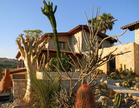 Relais Garden Cactus B&B - Gerbera