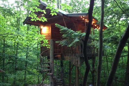 An Adirondack Tree House Retreat