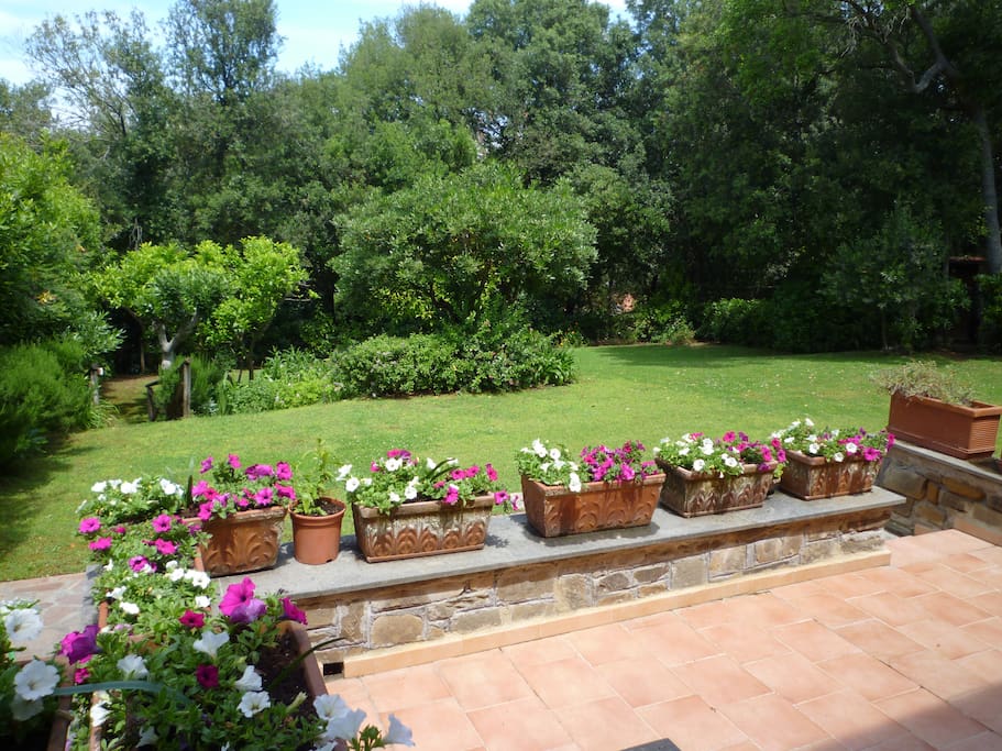 Terrazza e giardino