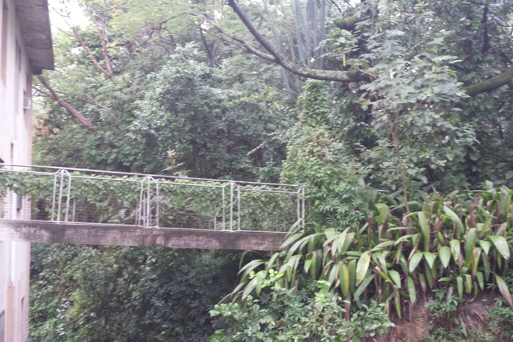 Reserva Florestal
