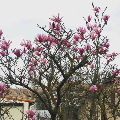 Our "home" near Toulouse