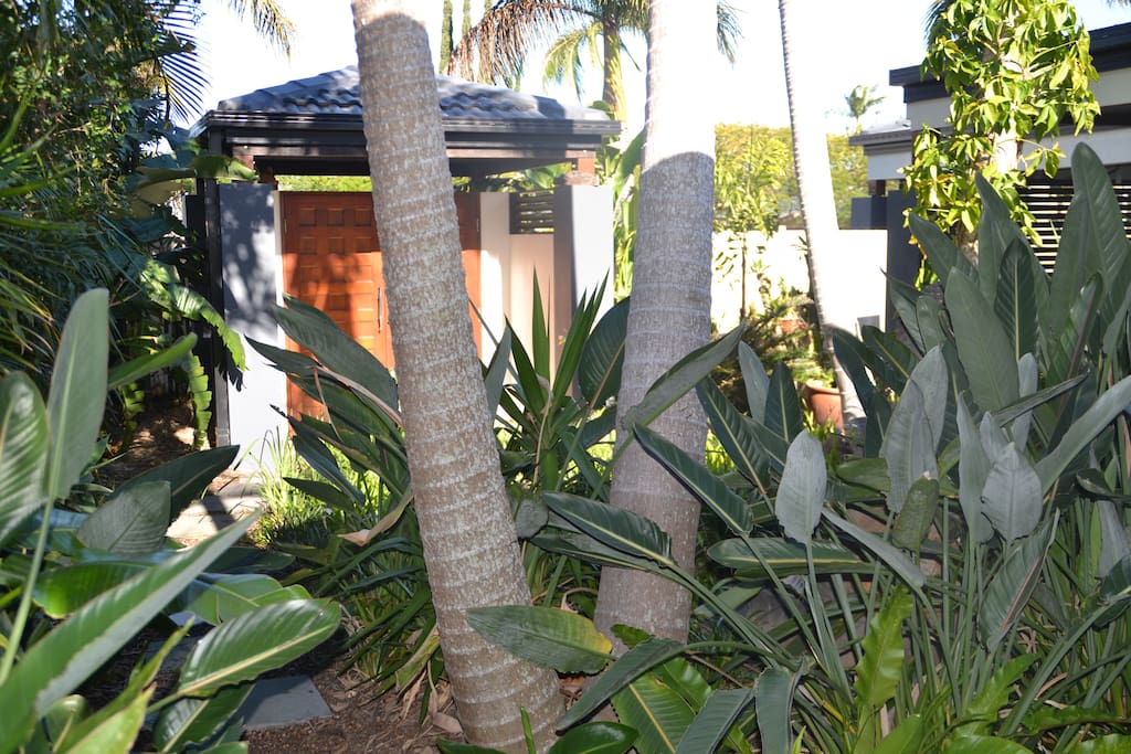 Tropical gardens