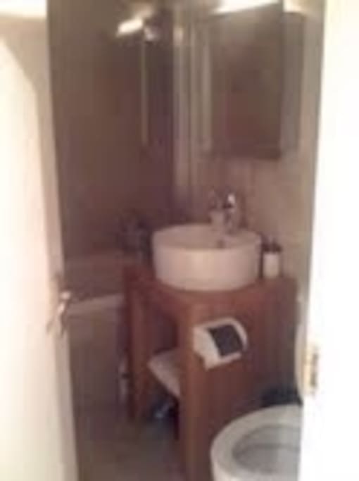 Shared bathroom with one other person (me!)