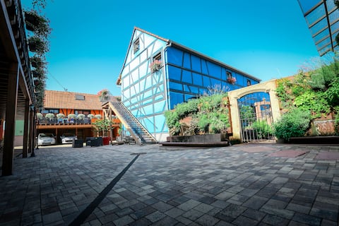 Charming apartment CIGOGNE