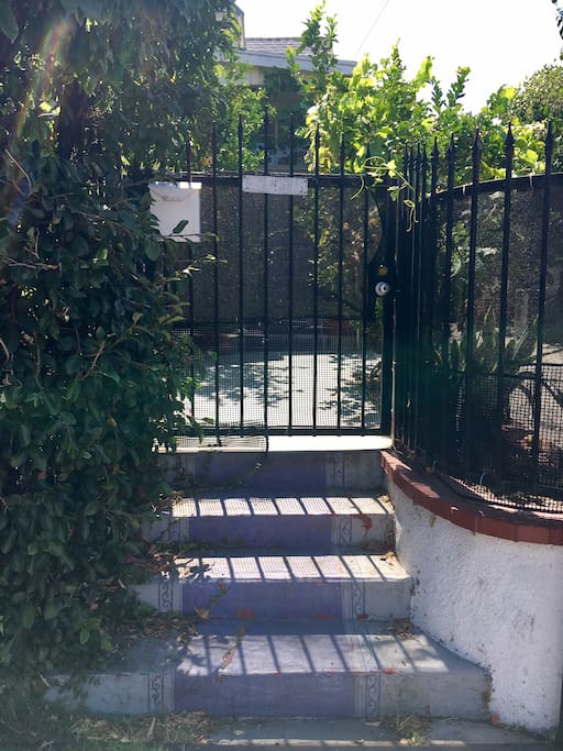 the house number is covered in vines so look for the purple stairs- and there is no dog so come on in.