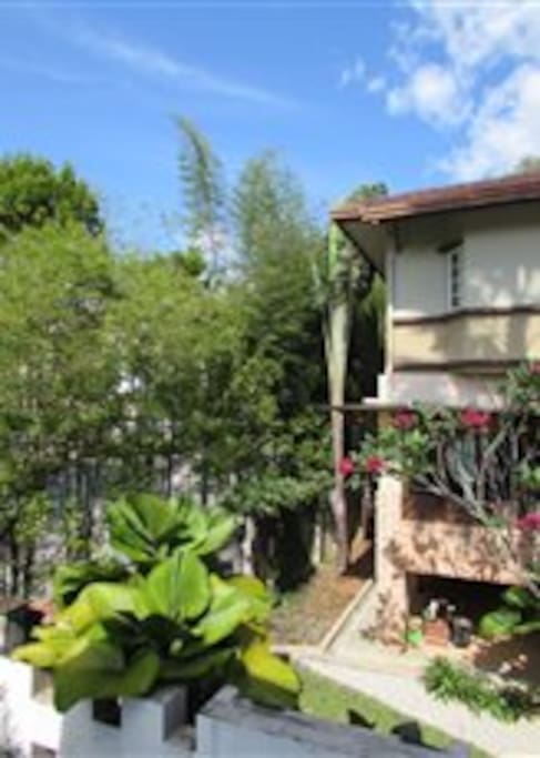 Outdoor View @ Back of the House