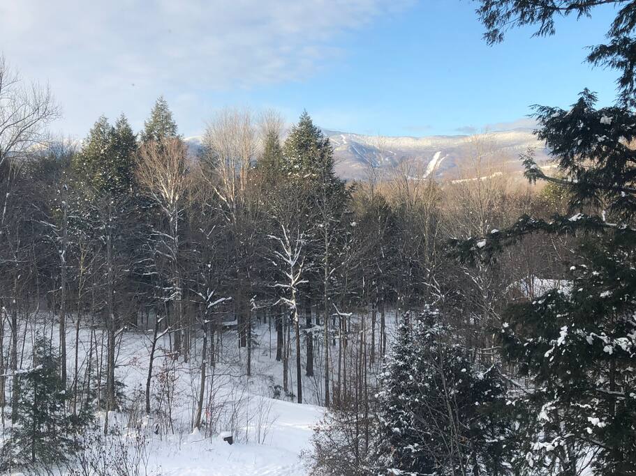 Morning view from the master bedroom