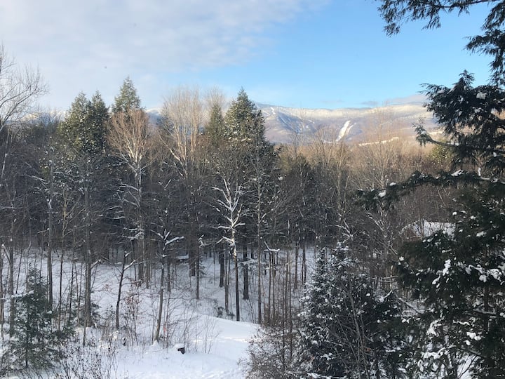 Утрински поглед од главната спална соба 